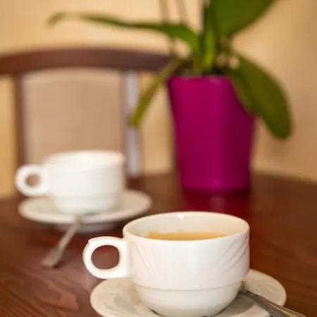 住宿加早餐酒店 Stritzki 维斯拉